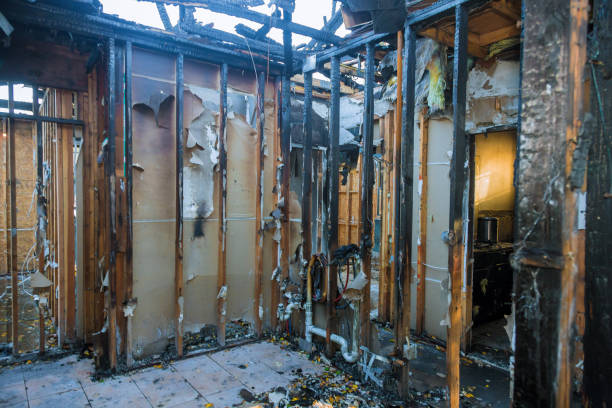 Professional Smoke Damage Restoration technician working in Columbus, MN